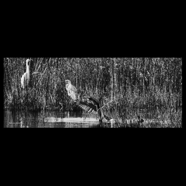 PHOTO84, CLUB, 84 , LUBERON